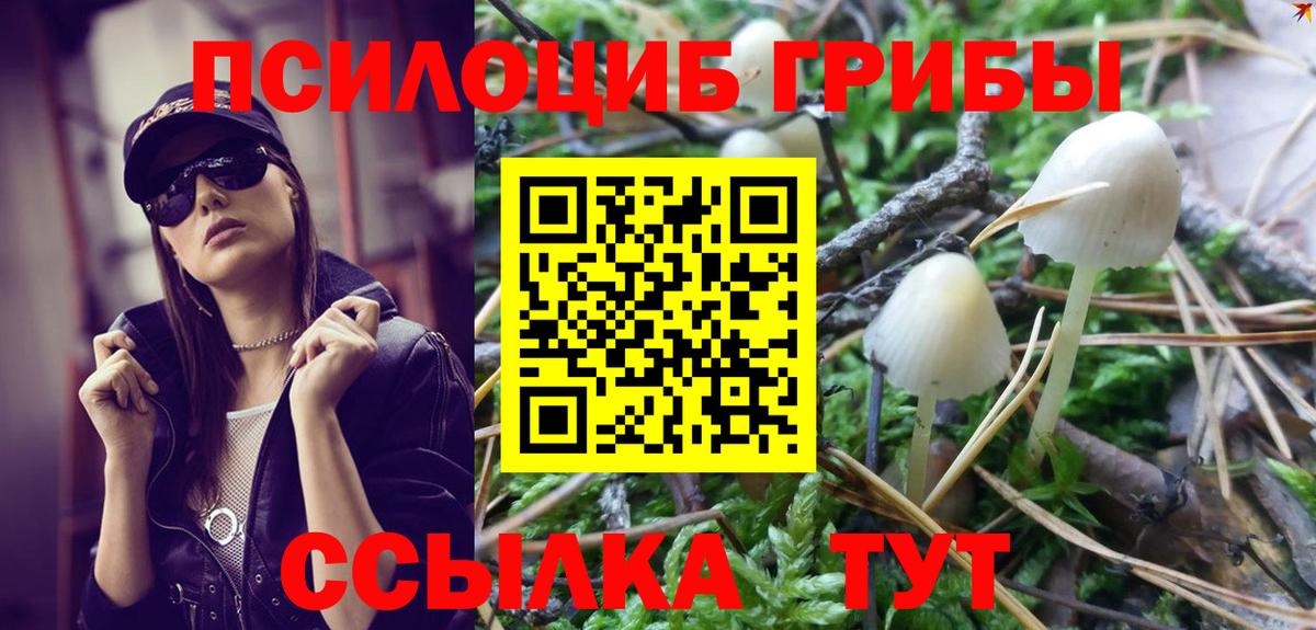 Галлюциногенные грибы Psilocybine cubensis Верхняя Пышма