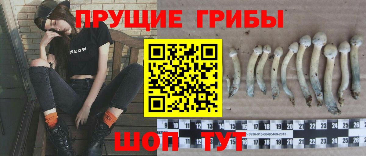 Псилоцибиновые грибы Cubensis  Вход с VPN  Верхняя Пышма 